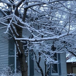 Meet your Posher, Tamia